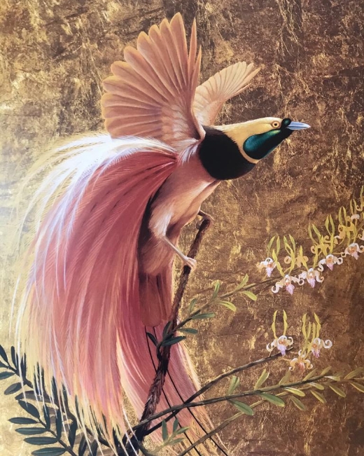 Birds 3